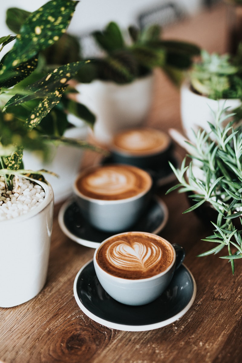 Alexandra Peak Medium Roast